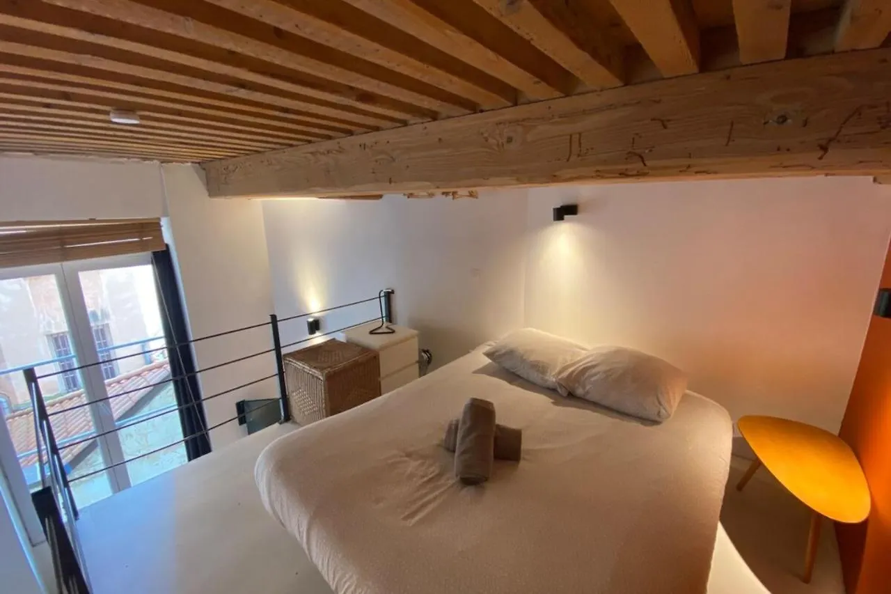 Charming Apartment With Exposed Beams Ainay District Lyon