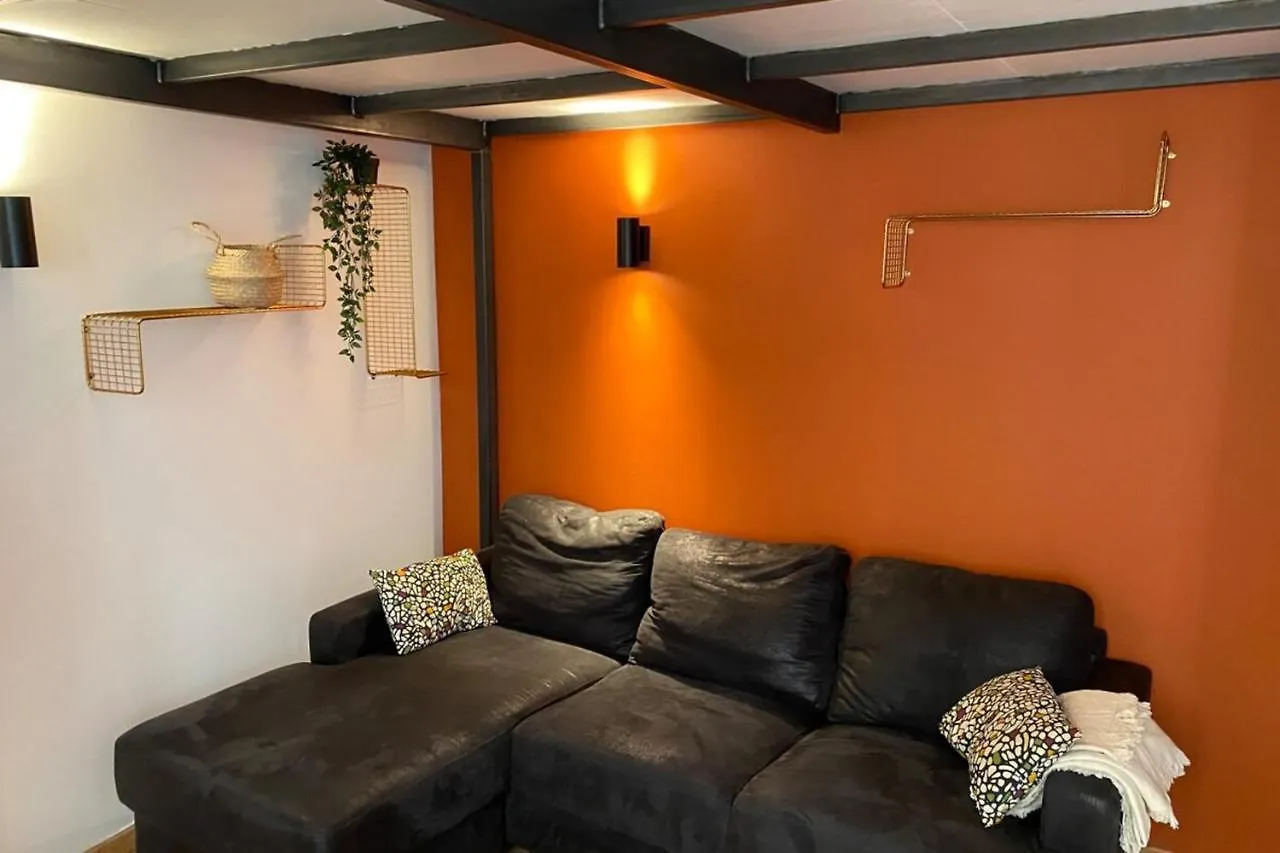 Charming Apartment With Exposed Beams Ainay District Lyon