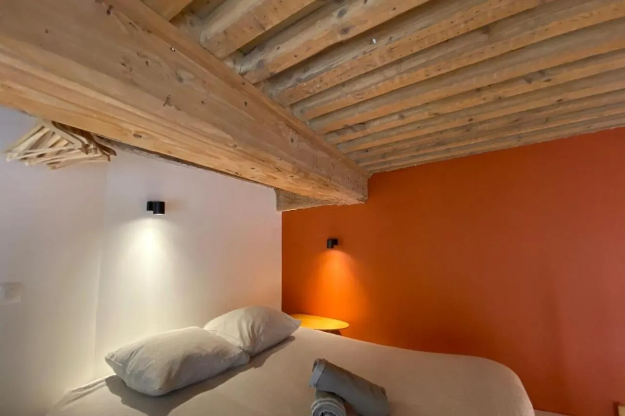 Charming Apartment With Exposed Beams Ainay District 리옹 프랑스
